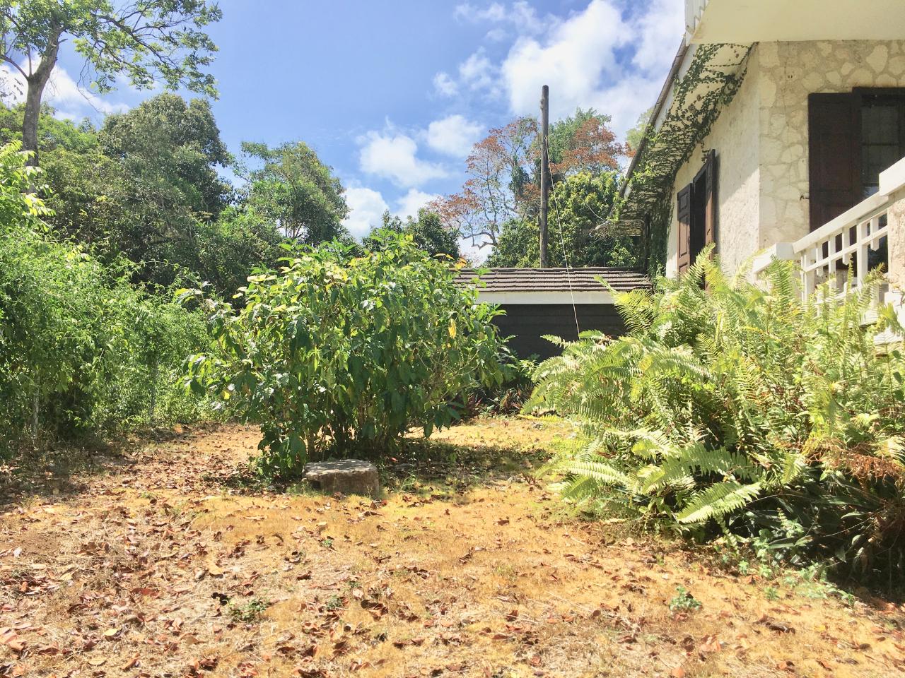 Twenty-Ninth image of Prospect Estate in Tower Isle, St. Mary, Jamaica - property is For Rent
