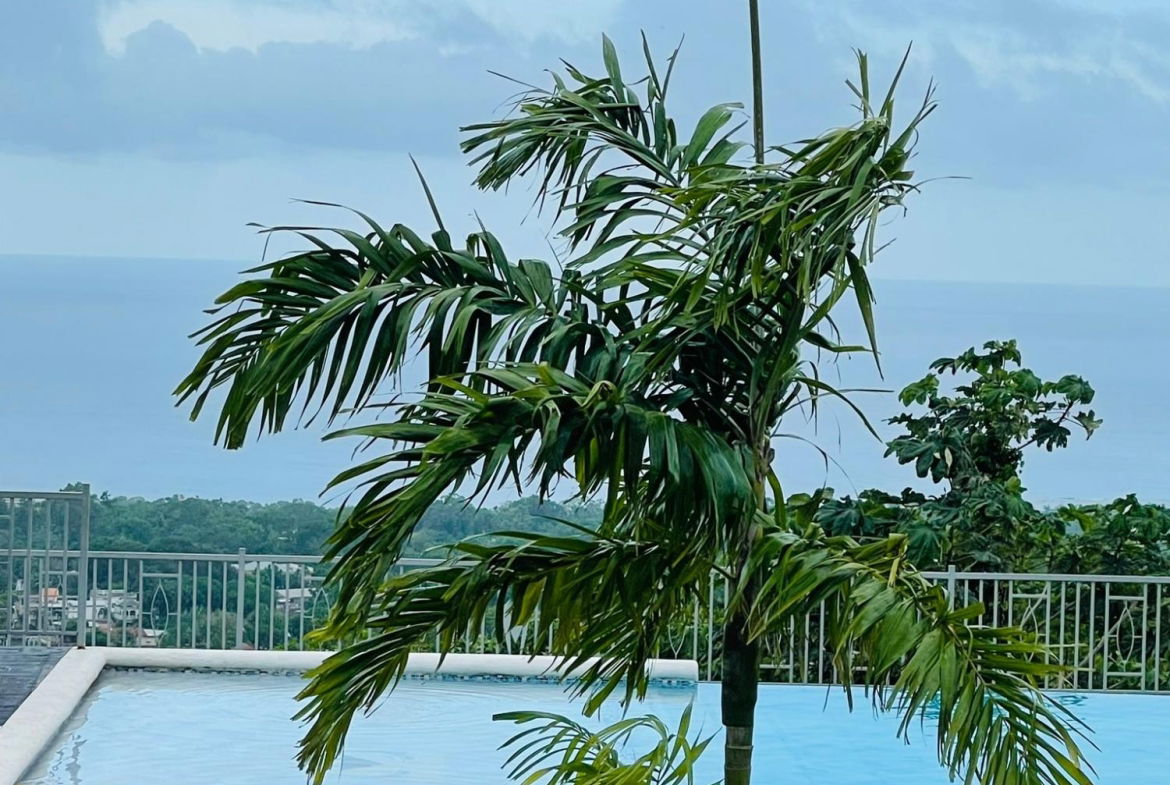 Twenty-Eighth image of 94 Pyramid Point in Ocho Rios, St. Ann, Jamaica - property is For Rent