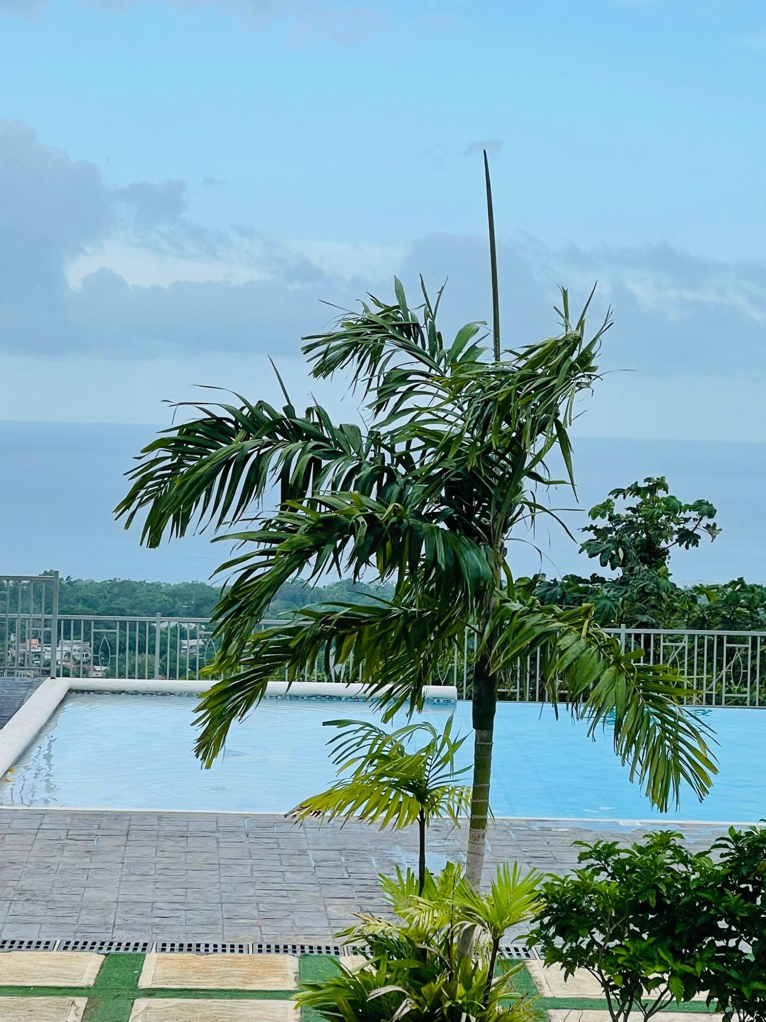 Twenty-Eighth image of 94 Pyramid Point in Ocho Rios, St. Ann, Jamaica - property is For Rent