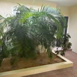 First image of Th7-11-13 Kingsway in Kingston 10, St. Andrew, Jamaica - property is For Rent
