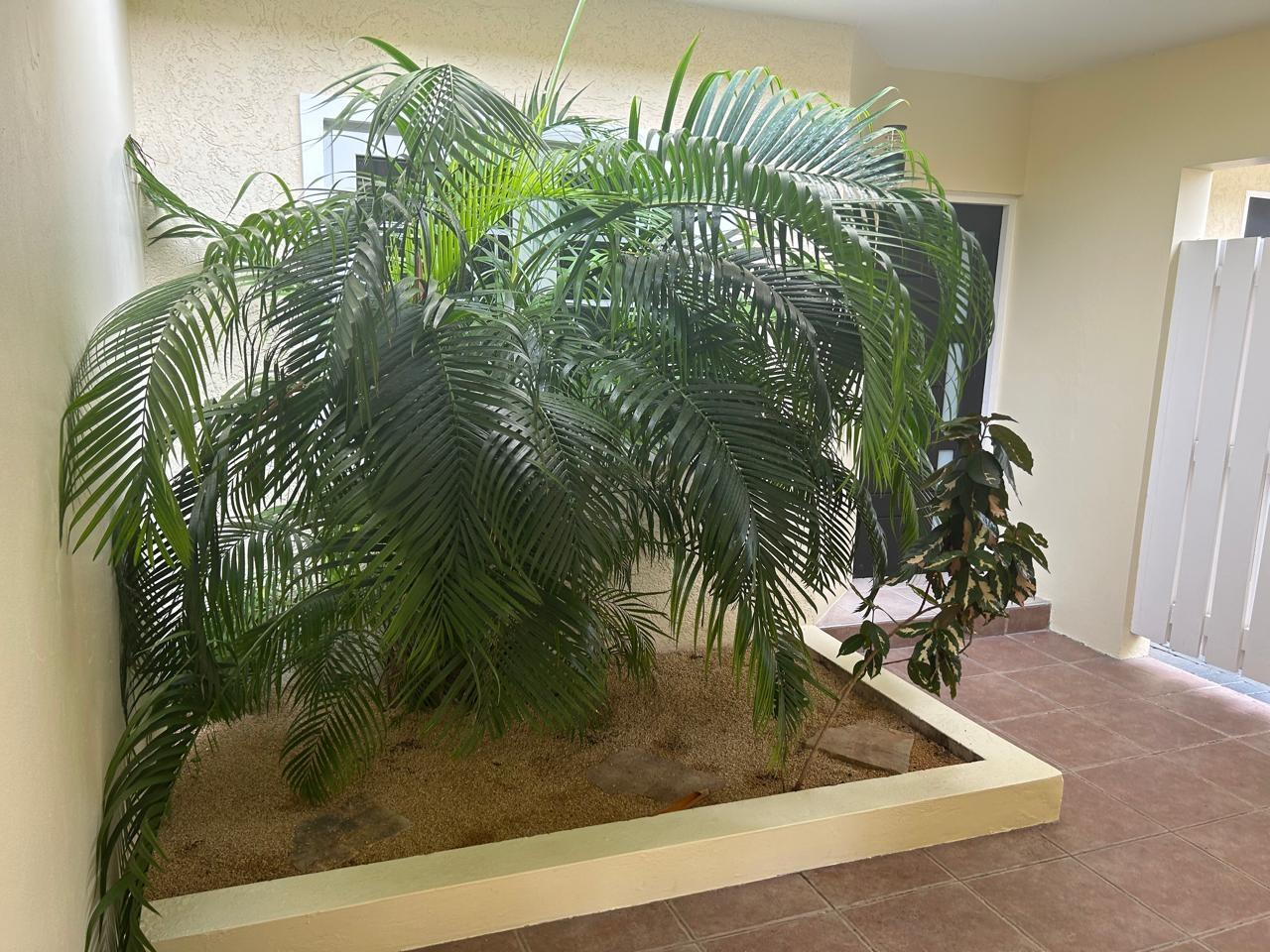 First image of Th7-11-13 Kingsway in Kingston 10, St. Andrew, Jamaica - property is For Rent