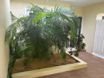 First image of Th7-11-13 Kingsway in Kingston 10, St. Andrew, Jamaica - property is For Rent