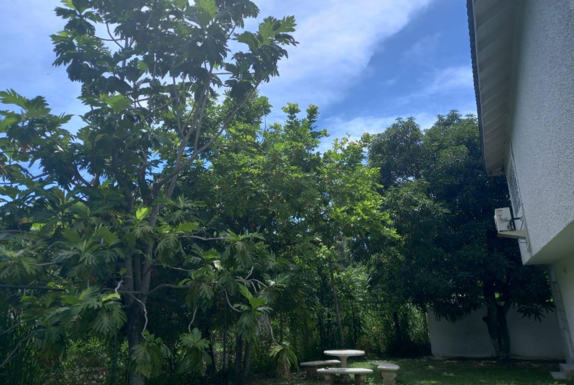 Twentieth image of 10 Benson Avenue Norbrook in Norbrook, St. Andrew, Jamaica - property is For Rent