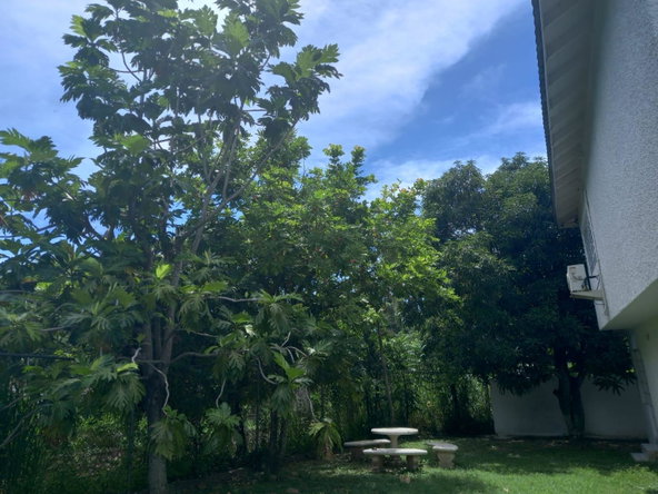 Twentieth image of 10 Benson Avenue Norbrook in Norbrook, St. Andrew, Jamaica - property is For Rent