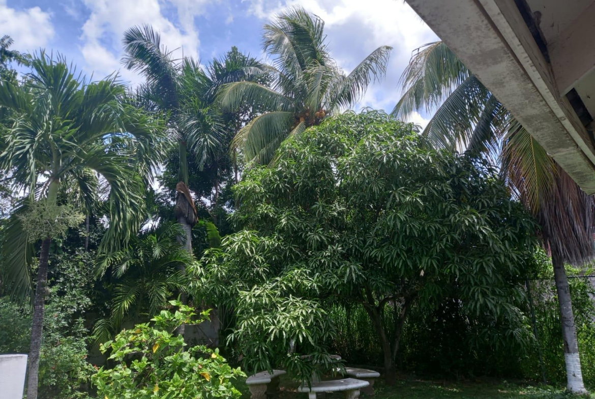 Twenty-First image of 10 Benson Avenue Norbrook in Norbrook, St. Andrew, Jamaica - property is For Rent