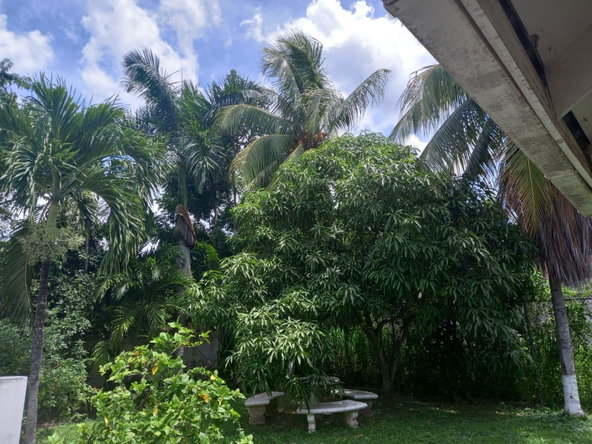 Twenty-First image of 10 Benson Avenue Norbrook in Norbrook, St. Andrew, Jamaica - property is For Rent