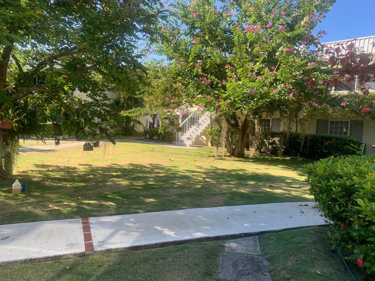 Luxury-One-Bedroom-Resort-Apartment-for-Rent-in-St.-James-Jamaica Fifteenth image of E102 Seawind on The Bay in Montego Bay, St. James, Jamaica - property is For Rent