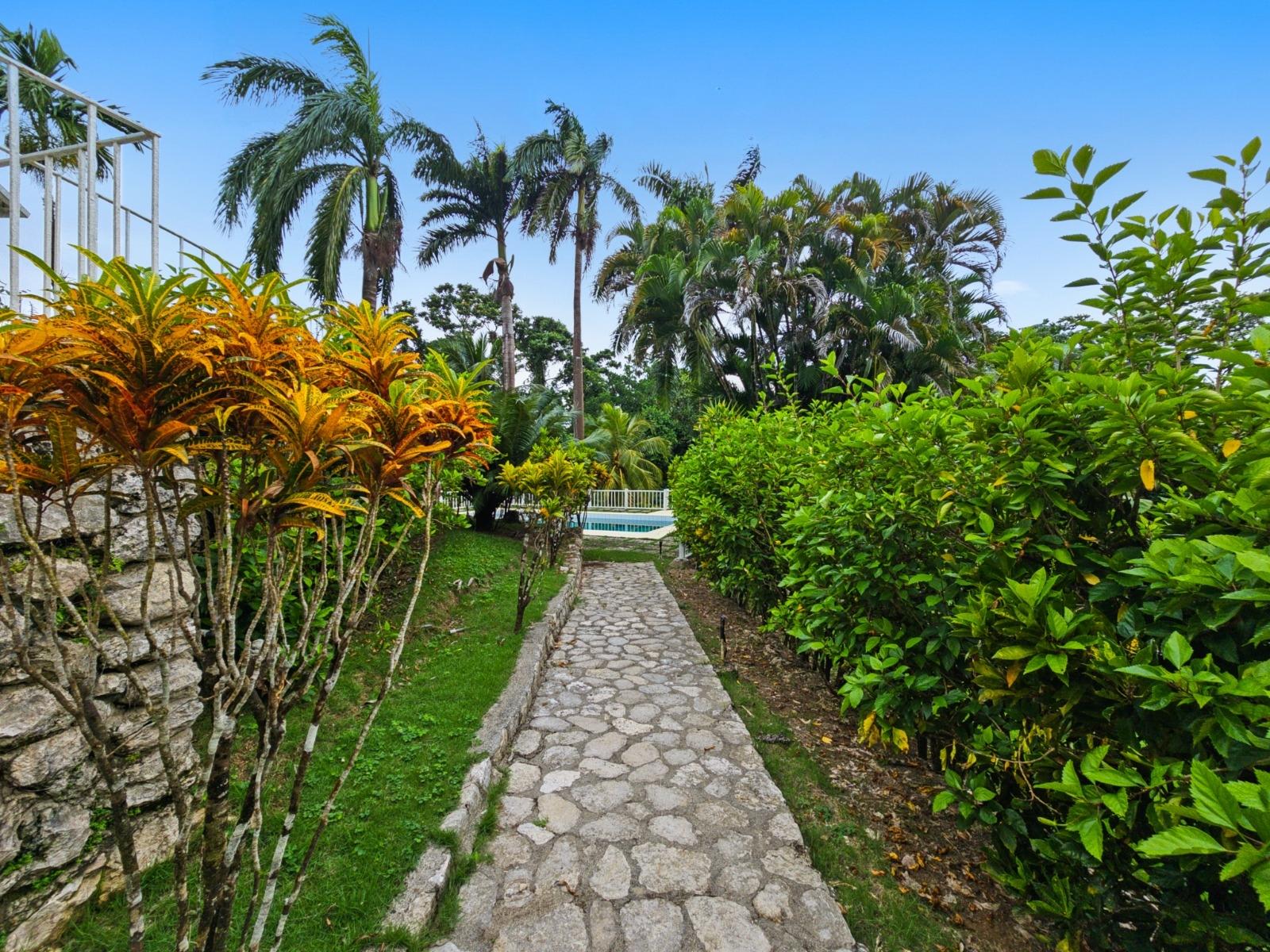 Third image of 84 San San Estate in Port Antonio, Portland, Jamaica - property is For Sale