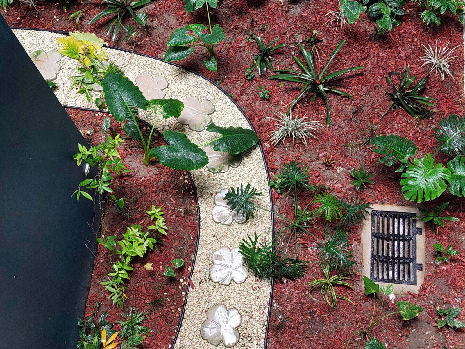 Sixteenth image of B2- 2-50b- Deanery Road in Kingston 3, St. Andrew, Jamaica - property is For Rent