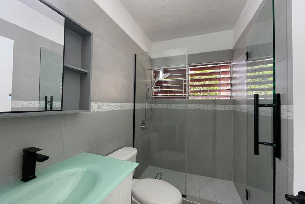 Ninth image of 14 Charlton Road in CONSTANT SPRING, St. Andrew, Jamaica - property is For Rent