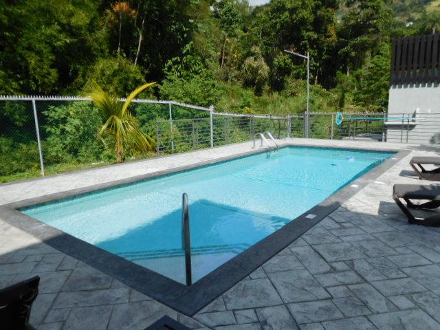 Eleventh image of E-25-27 Millsborough Avenue in Kingston 6, St. Andrew, Jamaica - property is For Rent