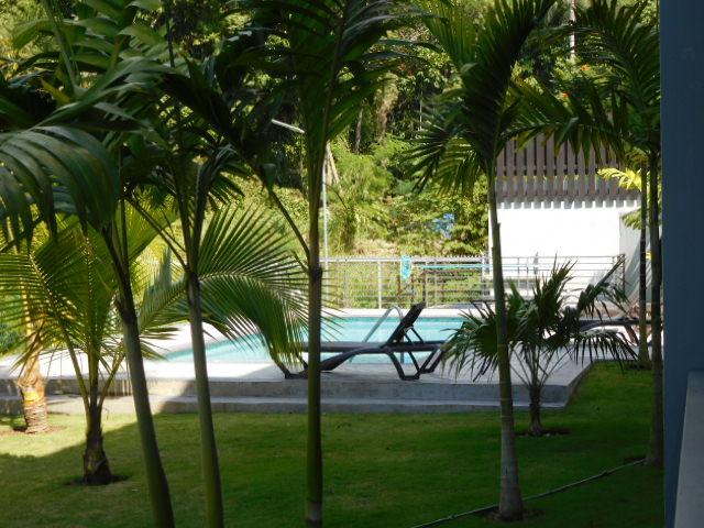 Twenty-First image of E-25-27 Millsborough Avenue in Kingston 6, St. Andrew, Jamaica - property is For Rent