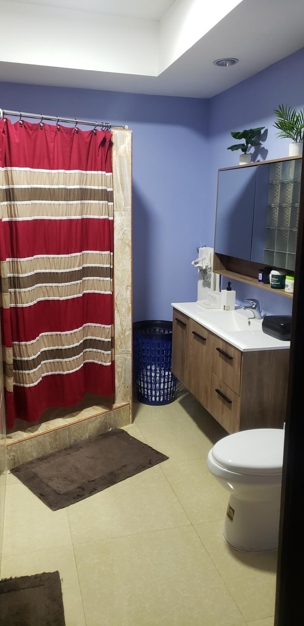 Thirteenth image of 2-lot 243 Pineapple Drive, Vineyard in Bushy Park, St. Catherine, Jamaica - property is For Rent