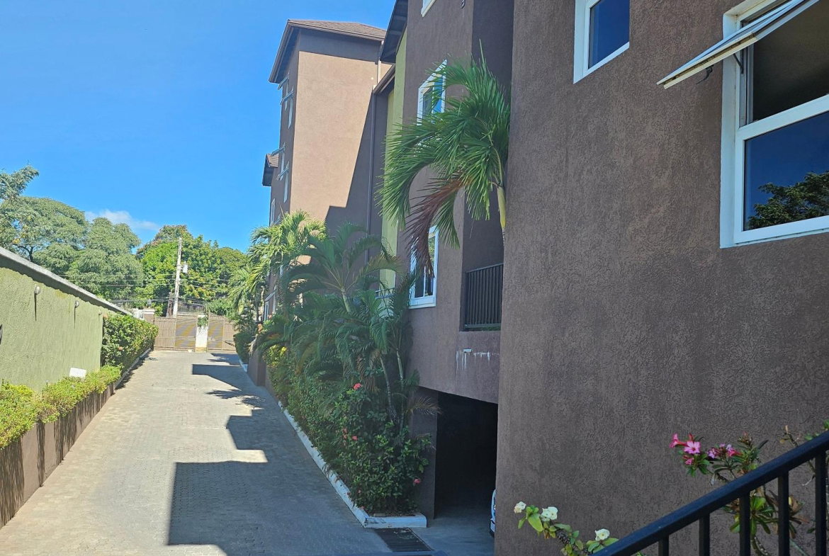 Twenty-Seventh image of 21- Washington Drive in Kingston 10, St. Andrew, Jamaica - property is For Rent