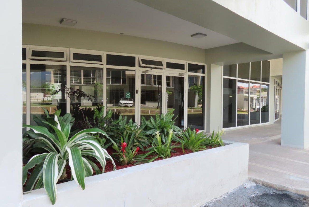 Seventh image of B118-2-4 Musgrave Avenue in Kingston 5, St. Andrew, Jamaica - property is For Rent