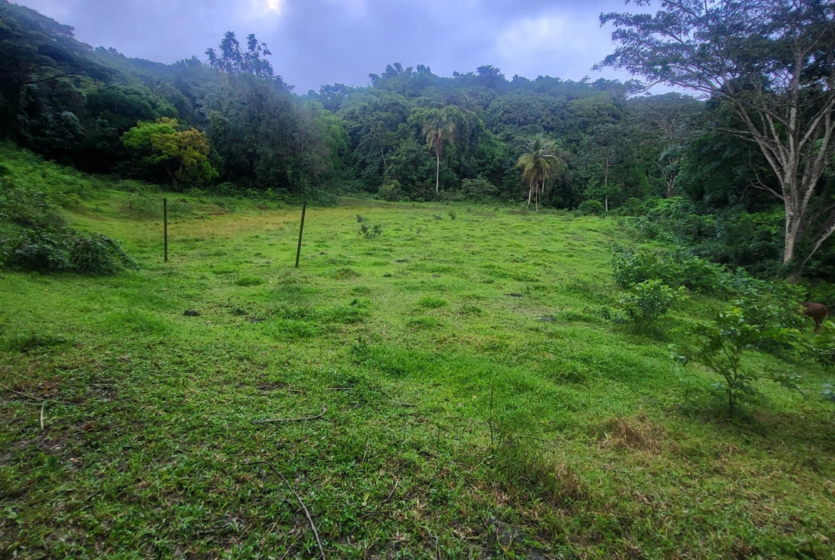 Second image of Crawle 11 in Crawle Halt, St. Catherine, Jamaica - property is For Sale