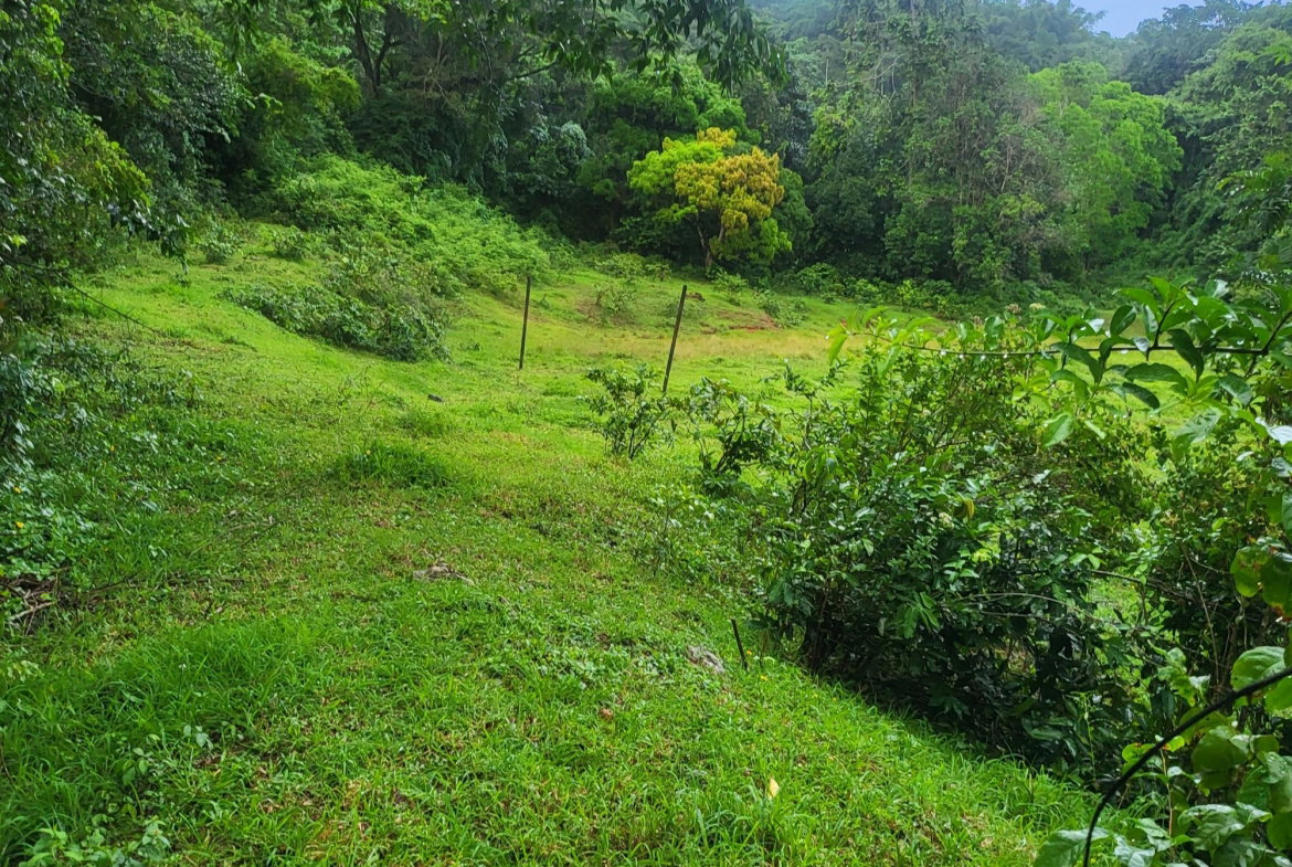 First image of Crawle 11 in Crawle Halt, St. Catherine, Jamaica - property is For Sale