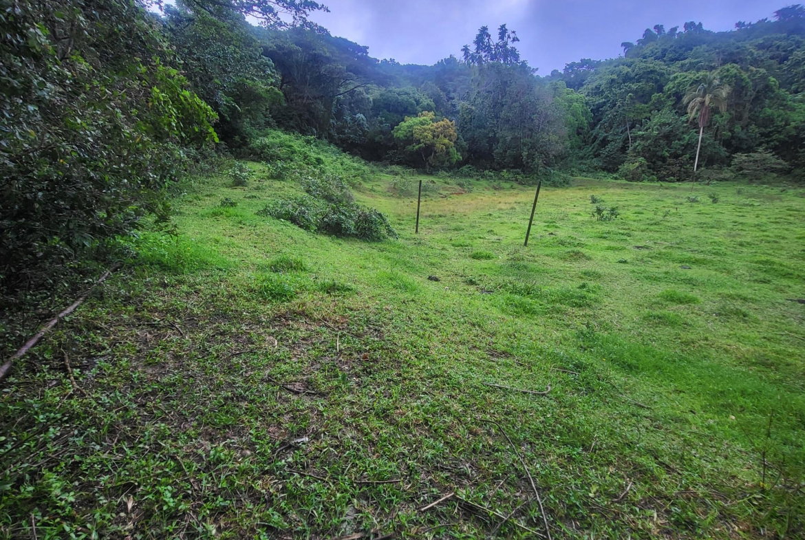 Third image of Crawle 11 in Crawle Halt, St. Catherine, Jamaica - property is For Sale