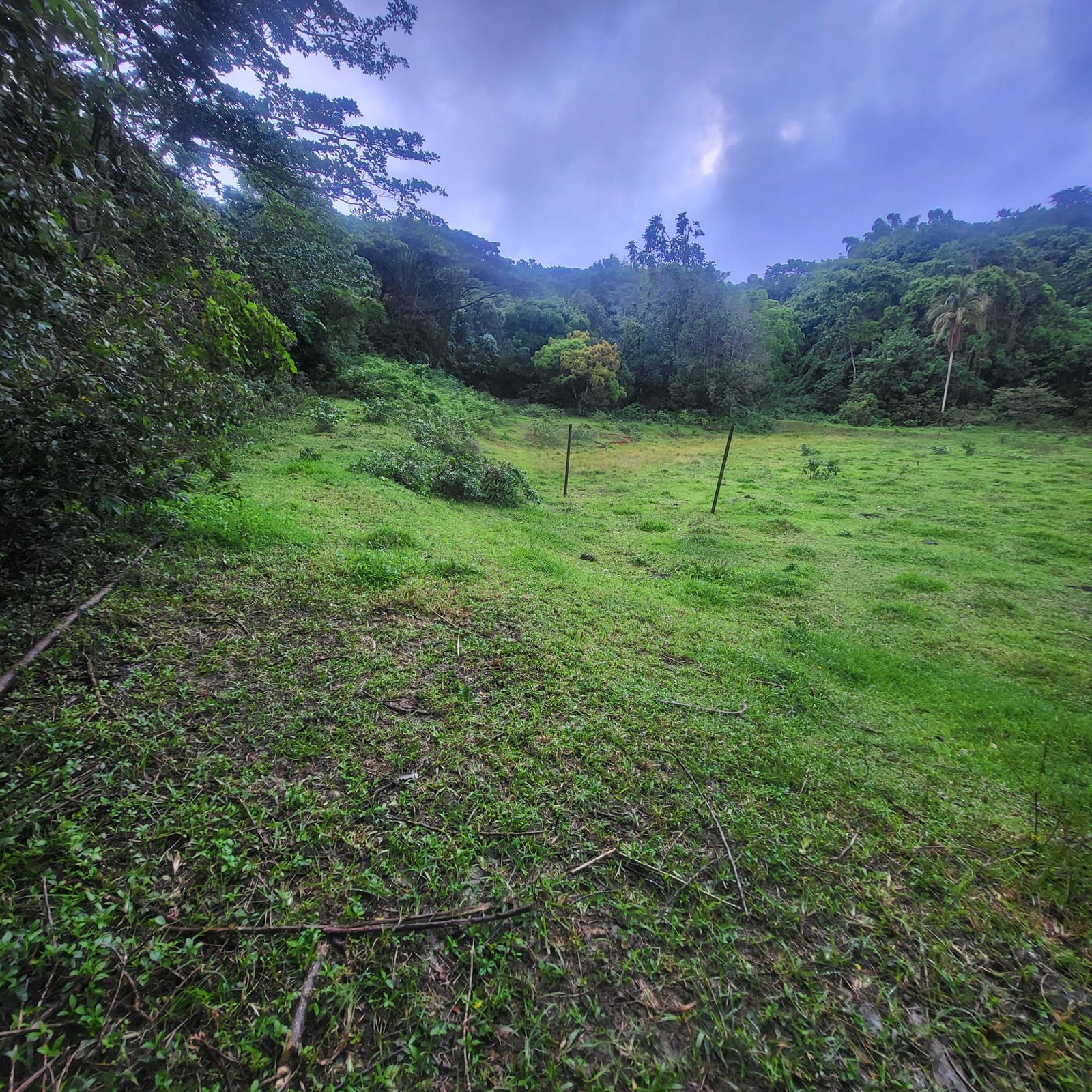 Third image of Crawle 11 in Crawle Halt, St. Catherine, Jamaica - property is For Sale