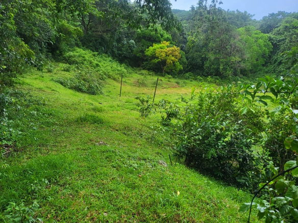 First image of Crawle 11 in Crawle Halt, St. Catherine, Jamaica - property is For Sale