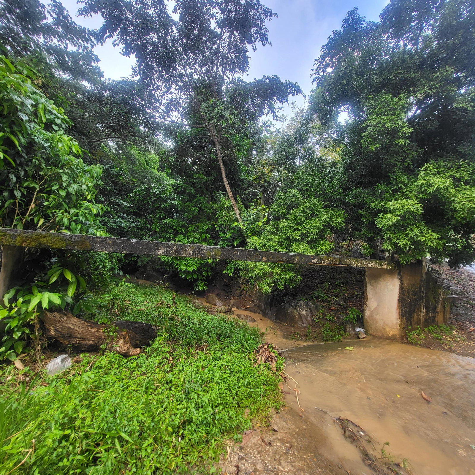 Seventh image of Crawle 11 in Crawle Halt, St. Catherine, Jamaica - property is For Sale