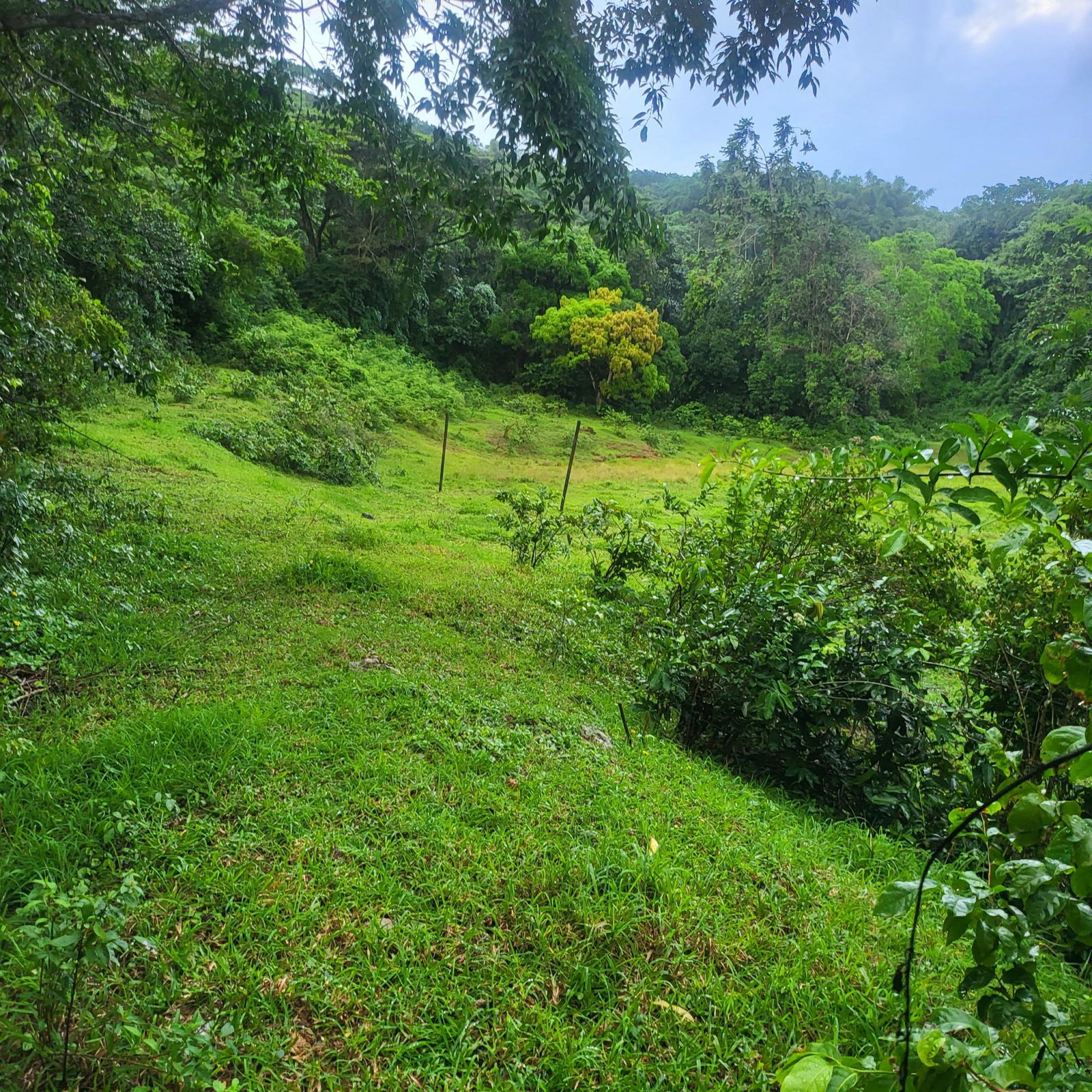 First image of Crawle 11 in Crawle Halt, St. Catherine, Jamaica - property is For Sale