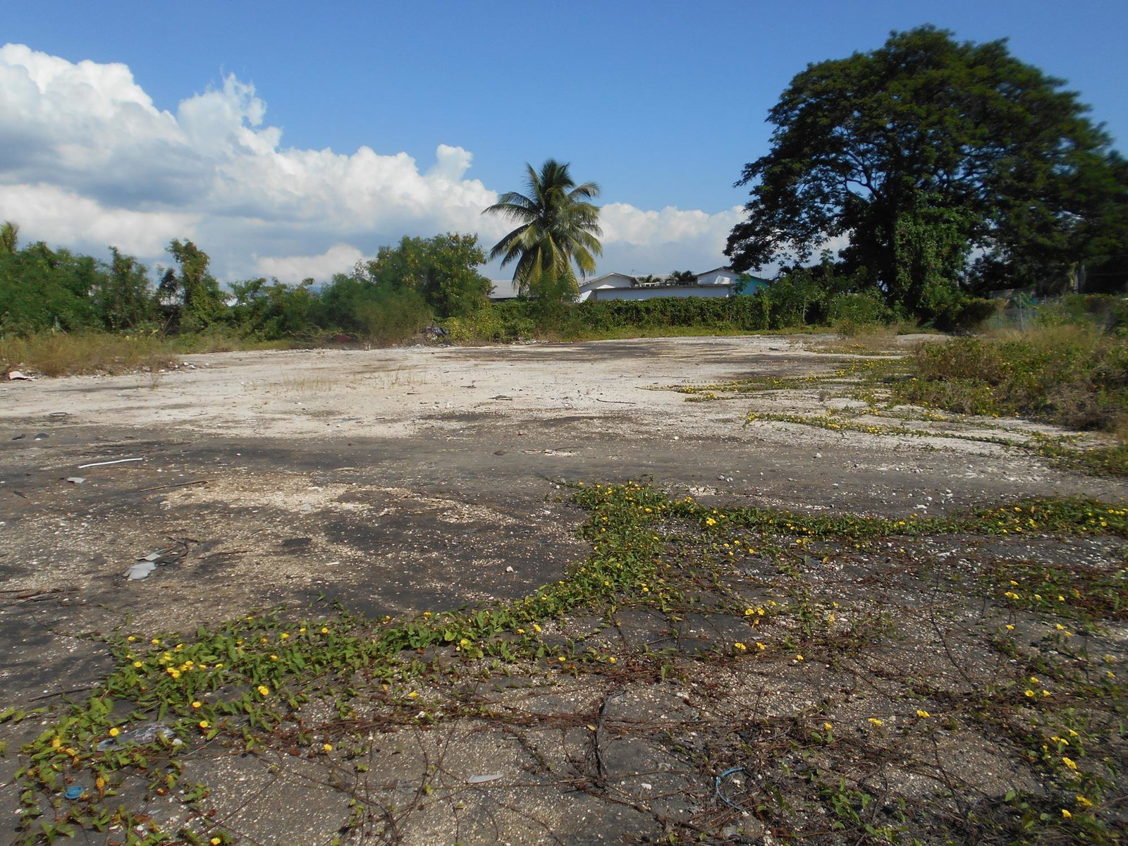 Seventh image of 61 Old Harbour Road St. Cath in Spanish Town, St. Catherine, Jamaica - property is For Sale