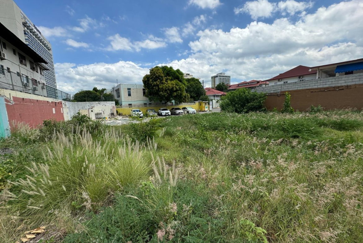 Third image of 2 Altamont Terrace in Kingston 5, St. Andrew, Jamaica - property is For Sale