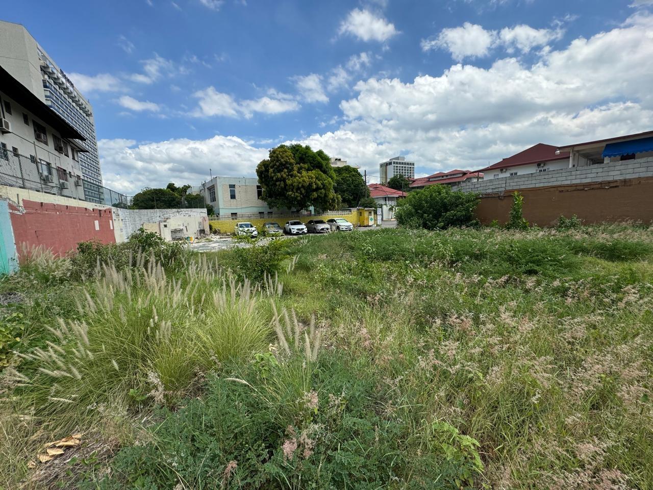 Third image of 2 Altamont Terrace in Kingston 5, St. Andrew, Jamaica - property is For Sale