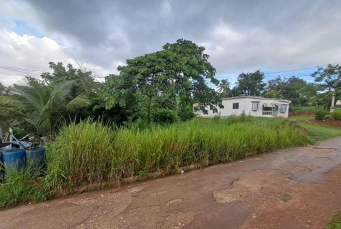 Second image of Wallens Time & Patience in Linstead, St. Catherine, Jamaica - property is For Sale