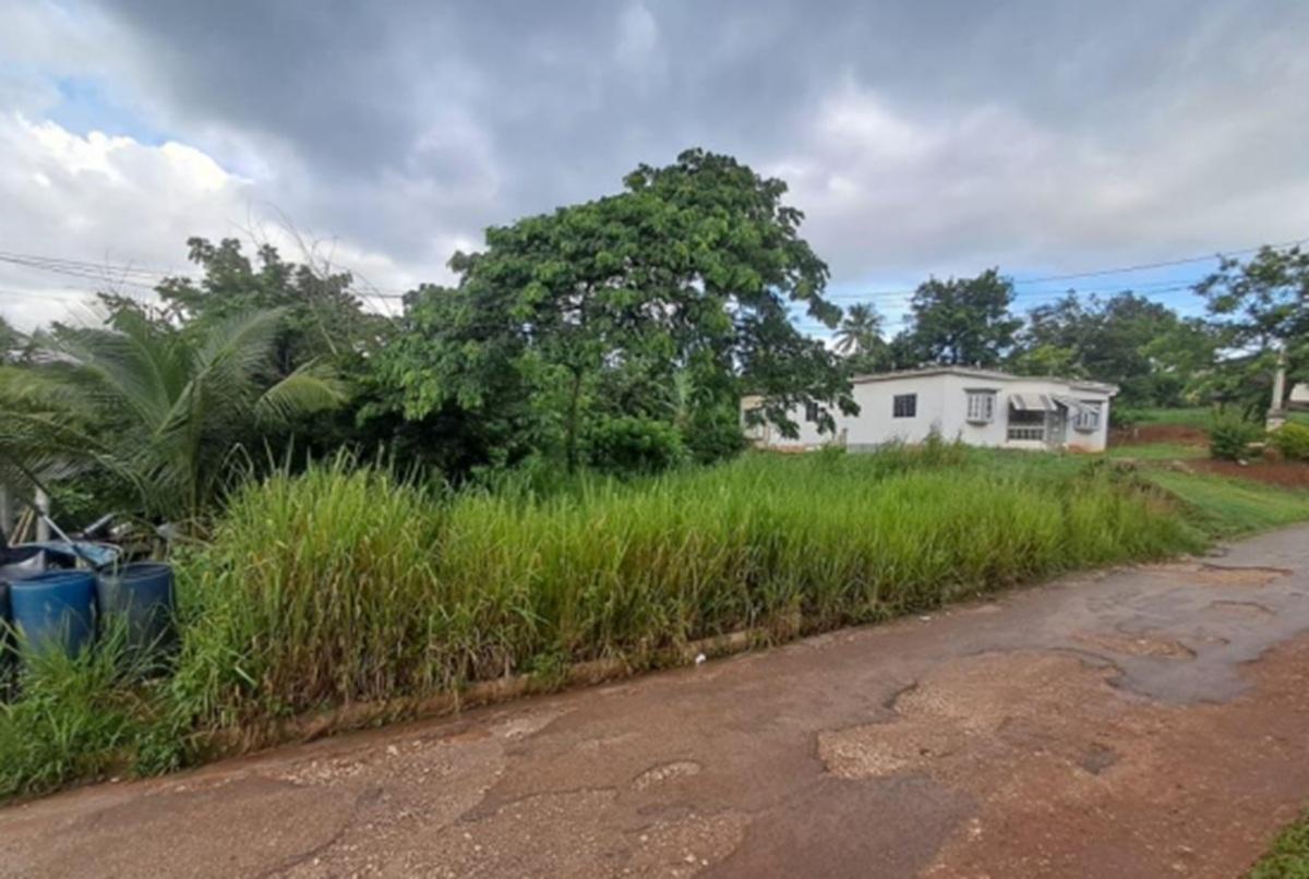 Prime-14-Acre-Residential-Lot-for-Sale-in-Wallens-St.-Catherine Second image of Wallens Time & Patience in Linstead, St. Catherine, Jamaica - property is For Sale