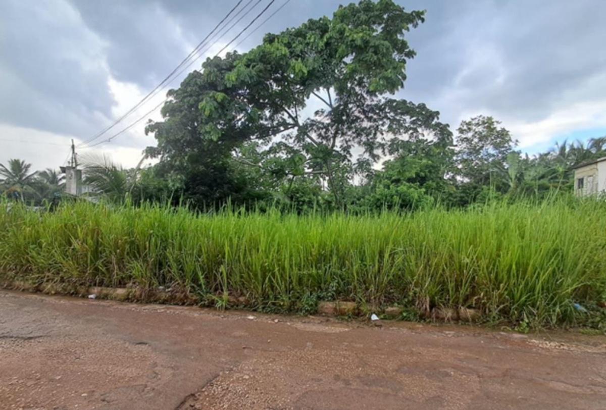Prime-14-Acre-Residential-Lot-for-Sale-in-Wallens-St.-Catherine Third image of Wallens Time & Patience in Linstead, St. Catherine, Jamaica - property is For Sale