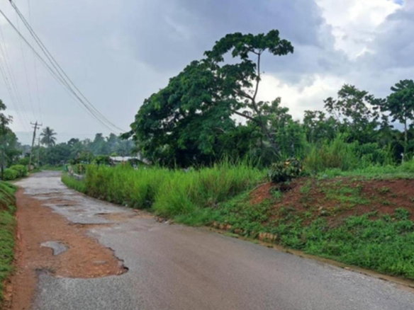 First image of Wallens Time & Patience in Linstead, St. Catherine, Jamaica - property is For Sale