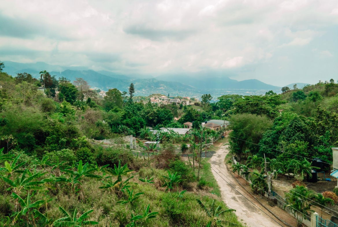 Fourth image of Alpine Road, Red Hills in Red Hills, St. Andrew, Jamaica - property is For Sale