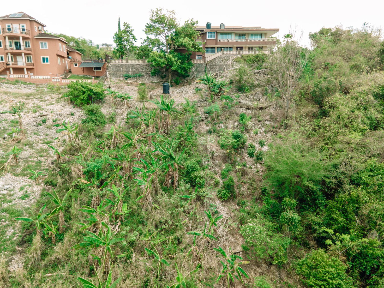 Sixth image of Alpine Road, Red Hills in Red Hills, St. Andrew, Jamaica - property is For Sale
