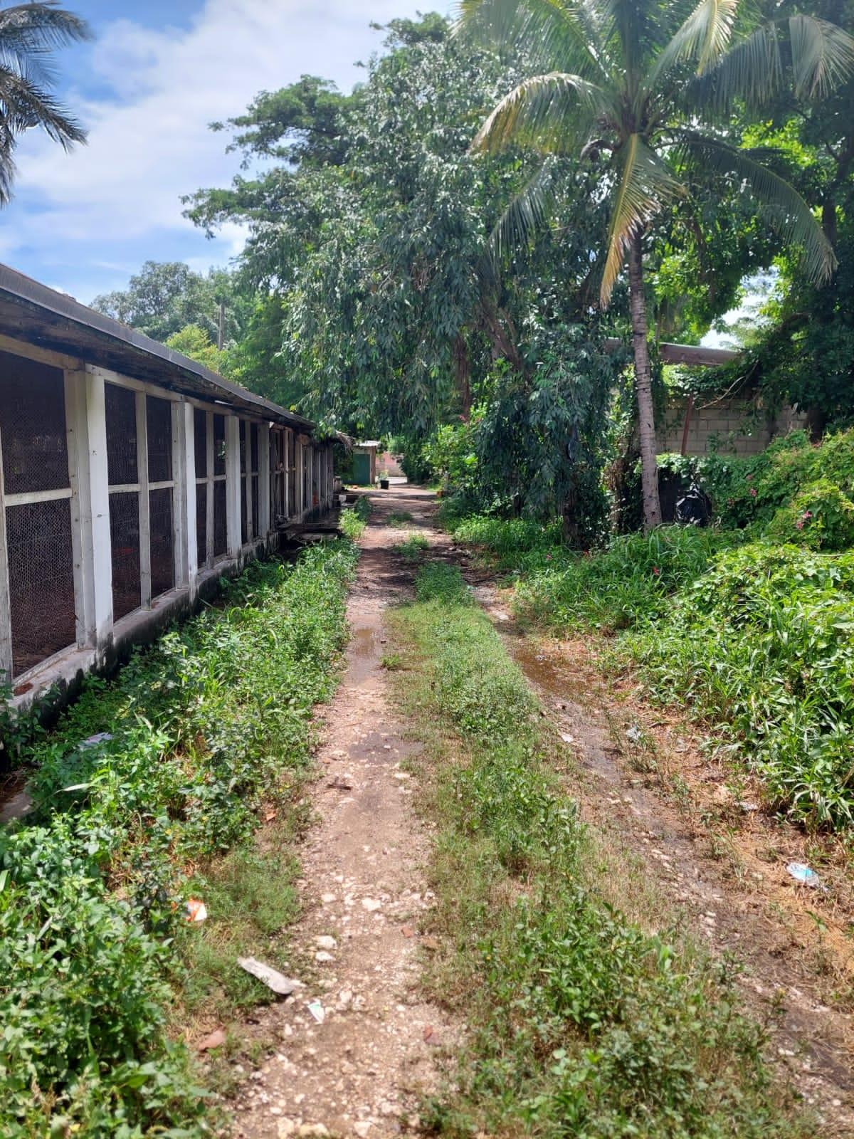 Third image of st Johns Road in Spanish Town, St. Catherine, Jamaica - property is For Sale
