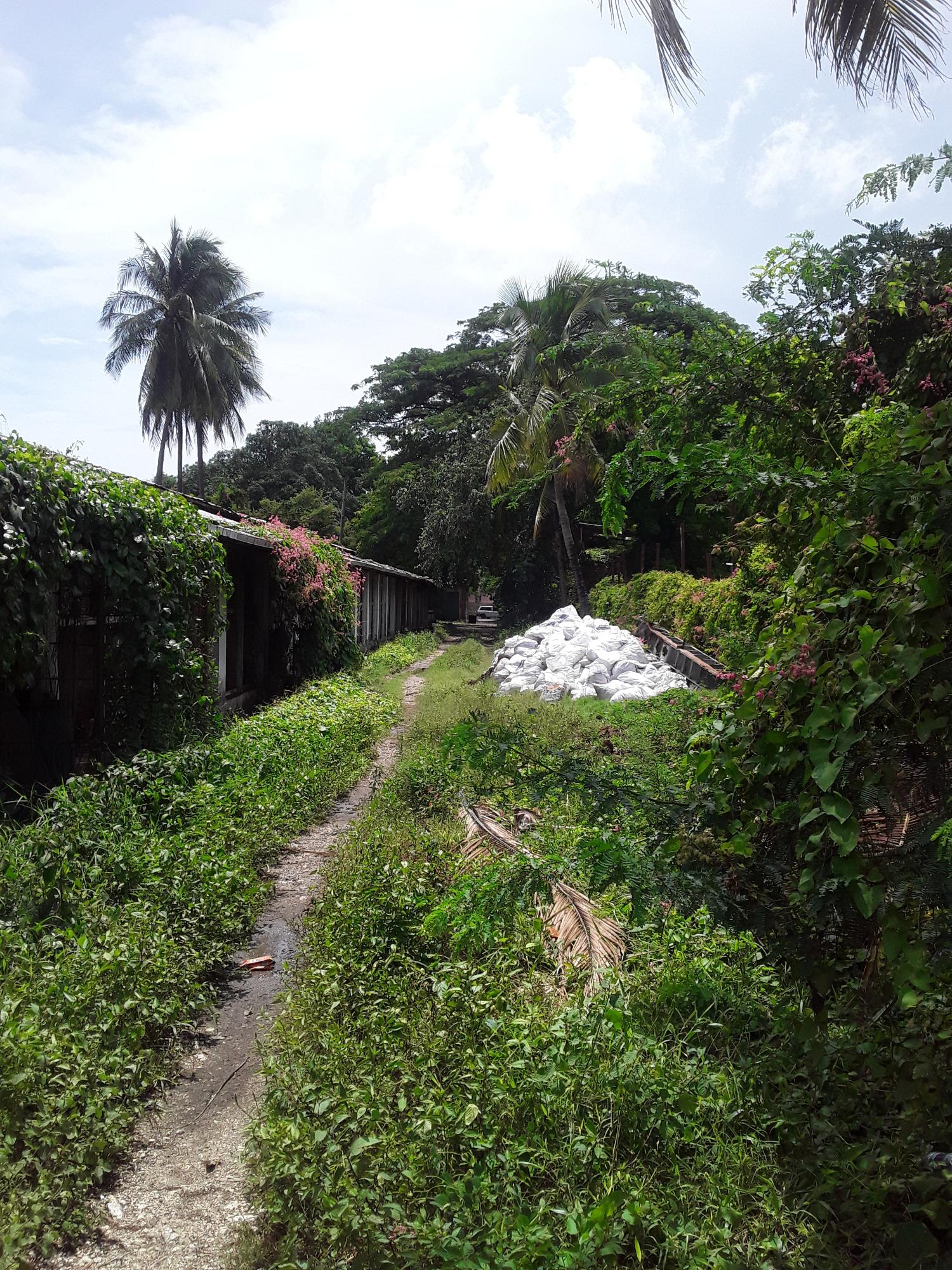Fifth image of st Johns Road in Spanish Town, St. Catherine, Jamaica - property is For Sale