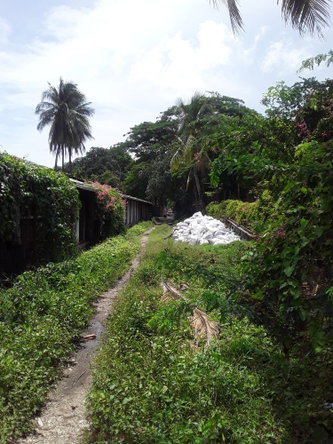 Fifth image of st Johns Road in Spanish Town, St. Catherine, Jamaica - property is For Sale