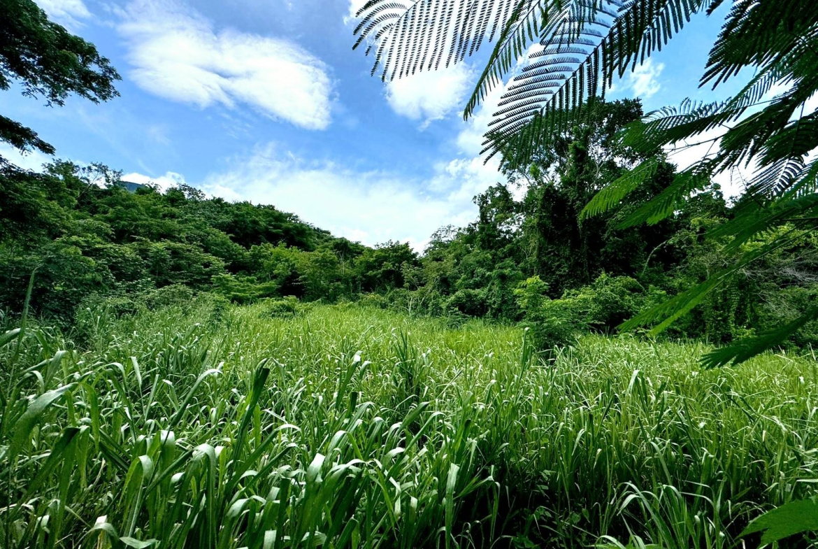 First image of Lot 3 & 4 Maverly Mtn,sterling Cast in Red Hills, St. Andrew, Jamaica - property is For Sale