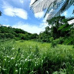 First image of Lot 3 & 4 Maverly Mtn,sterling Cast in Red Hills, St. Andrew, Jamaica - property is For Sale