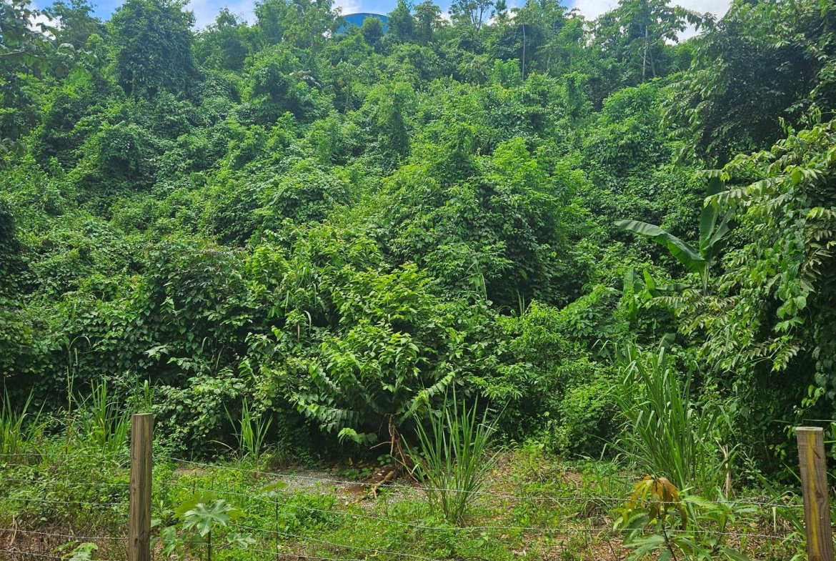 Third image of Lot 3 & 4 Maverly Mtn,sterling Cast in Red Hills, St. Andrew, Jamaica - property is For Sale