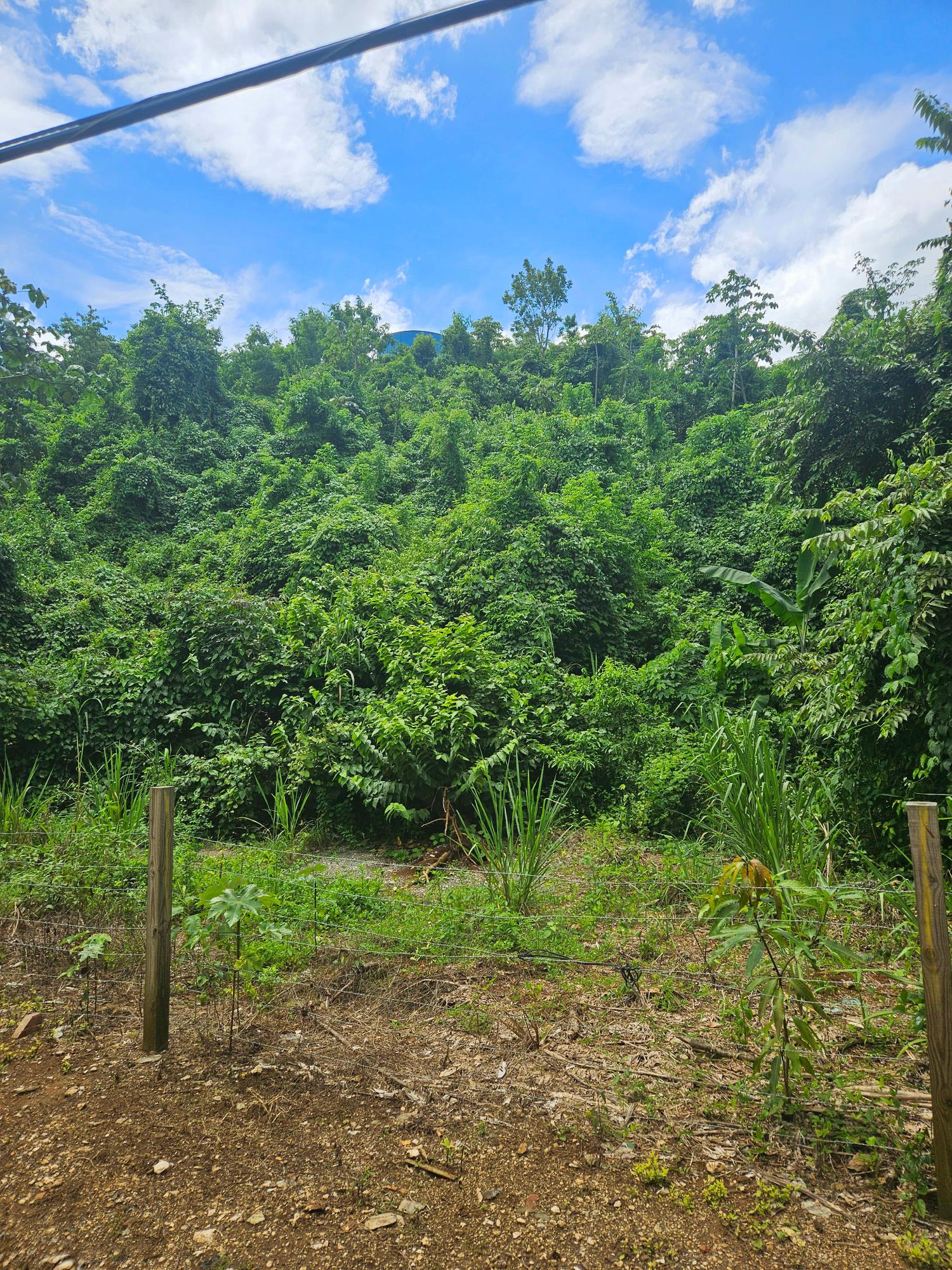 Third image of Lot 3 & 4 Maverly Mtn,sterling Cast in Red Hills, St. Andrew, Jamaica - property is For Sale