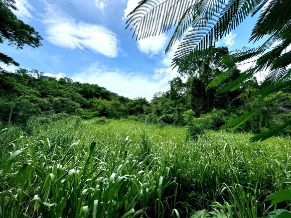 First image of Lot 3 & 4 Maverly Mtn,sterling Cast in Red Hills, St. Andrew, Jamaica - property is For Sale