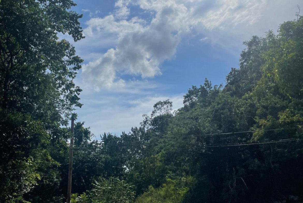 Fifth image of Swain Spring Rd, Red Hill in Red Hills, St. Andrew, Jamaica - property is For Sale