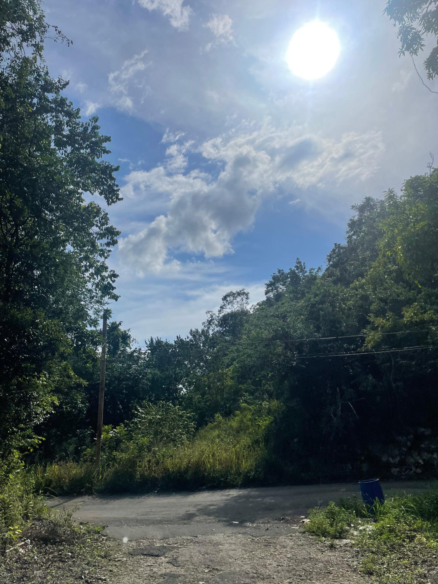 Fifth image of Swain Spring Rd, Red Hill in Red Hills, St. Andrew, Jamaica - property is For Sale