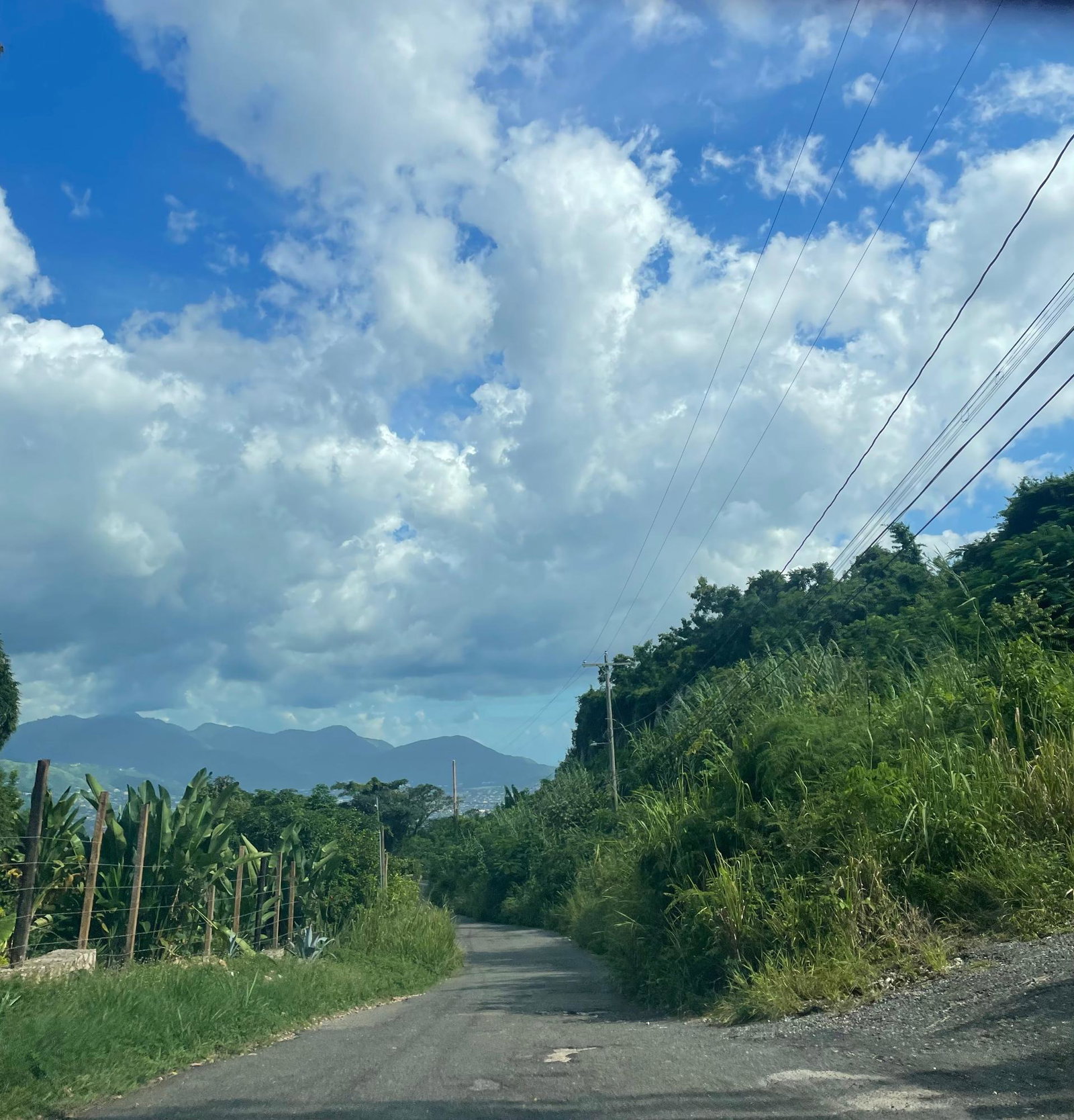 First image of Swain Spring Rd, Red Hill in Red Hills, St. Andrew, Jamaica - property is For Sale