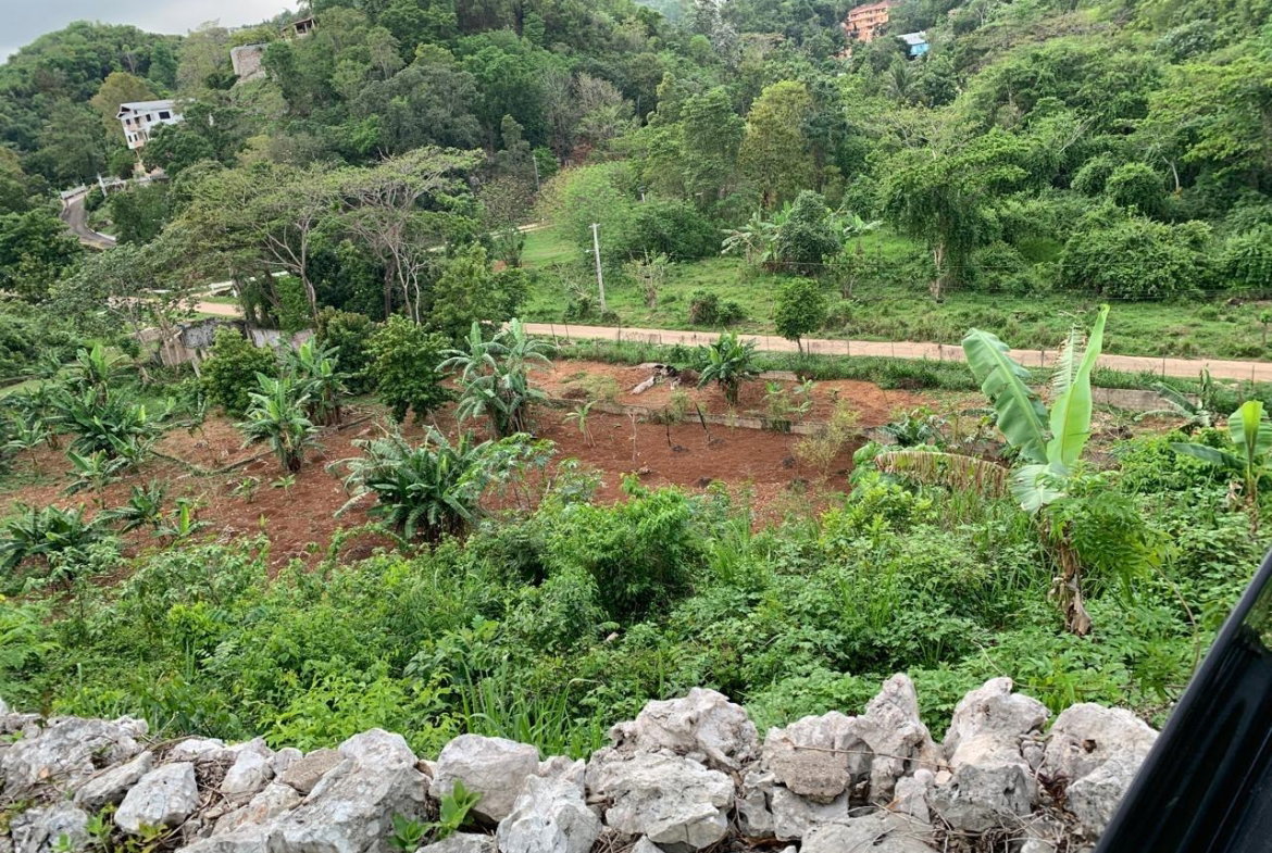 Third image of Lot 61 Maverly Mtn,sterling Cast in Red Hills, St. Andrew, Jamaica - property is For Sale
