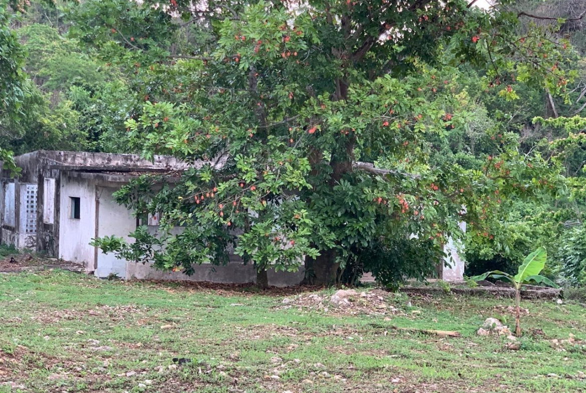 Eighth image of Lot 61 Maverly Mtn,sterling Cast in Red Hills, St. Andrew, Jamaica - property is For Sale