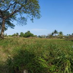 First image of Willowdene Spanish Town in Spanish Town, St. Catherine, Jamaica - property is For Sale