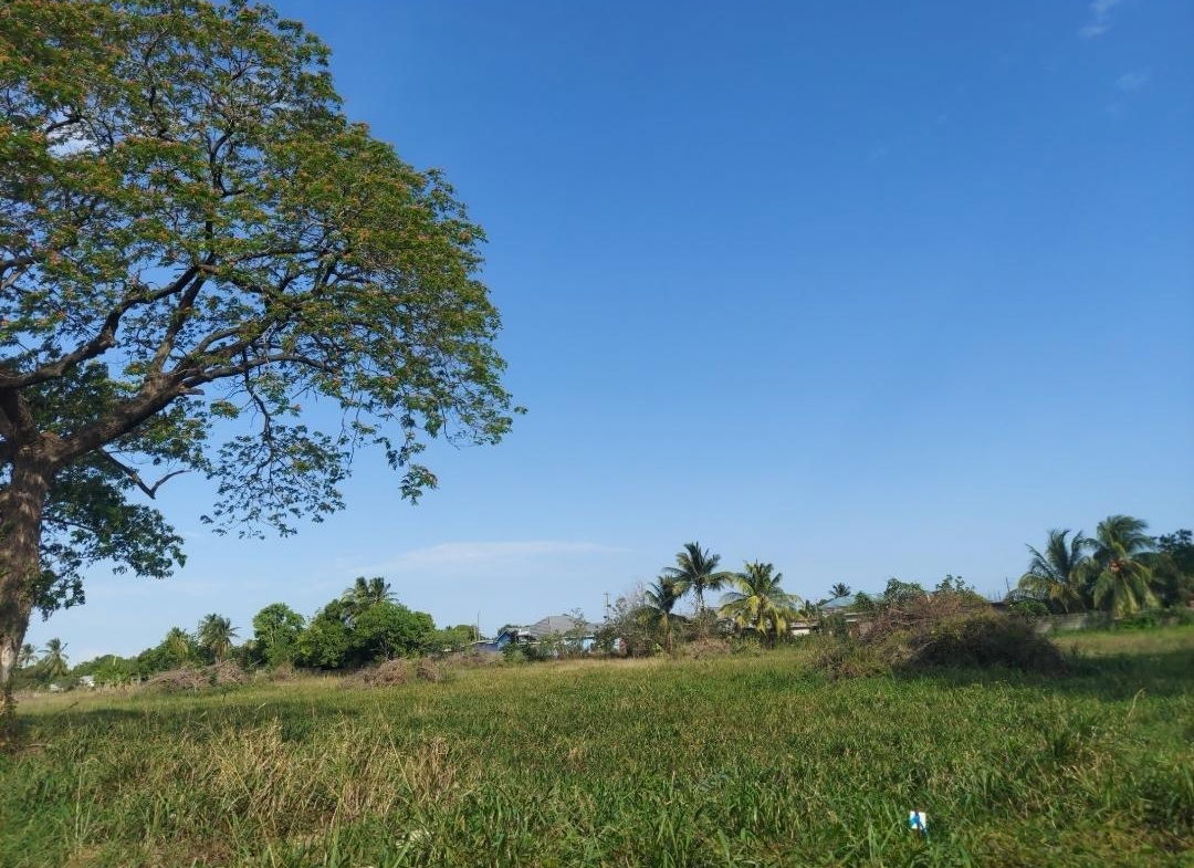 Third image of Willowdene Spanish Town in Spanish Town, St. Catherine, Jamaica - property is For Sale